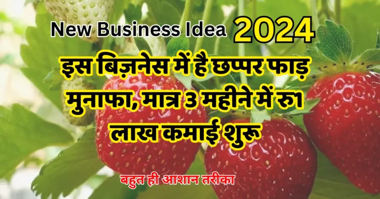 इस बिज़नेस में है छप्पर फाड़ मुनाफा, मात्र 3 महीने में रु1 लाख कमाई शुरू